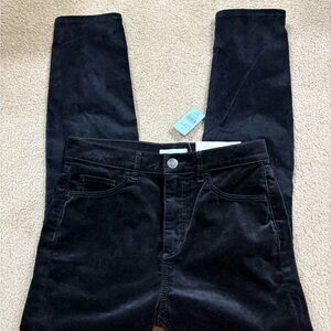 LOFT Black Velvet petite Pants